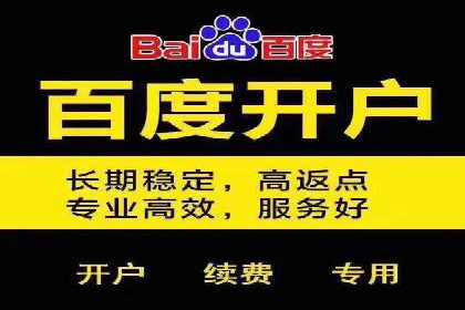 行业新秀如何通过SEM实现快速崛起